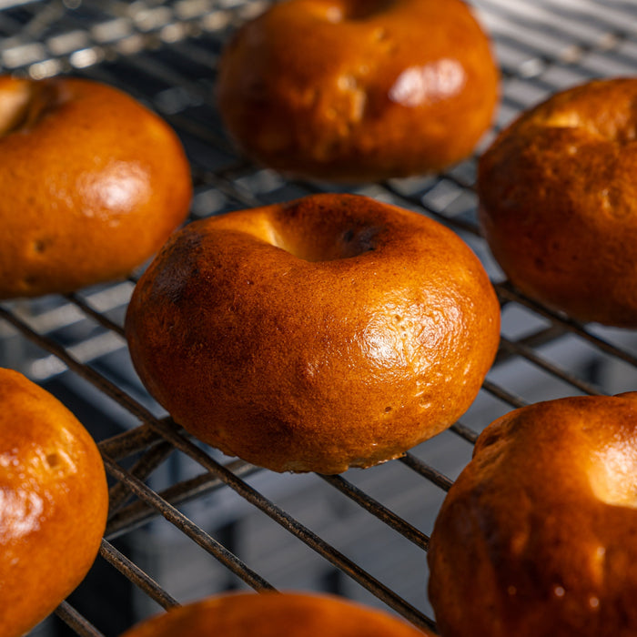 Original Bagel- Pack of 3